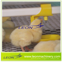 Leon chicken drinking water system for livestock